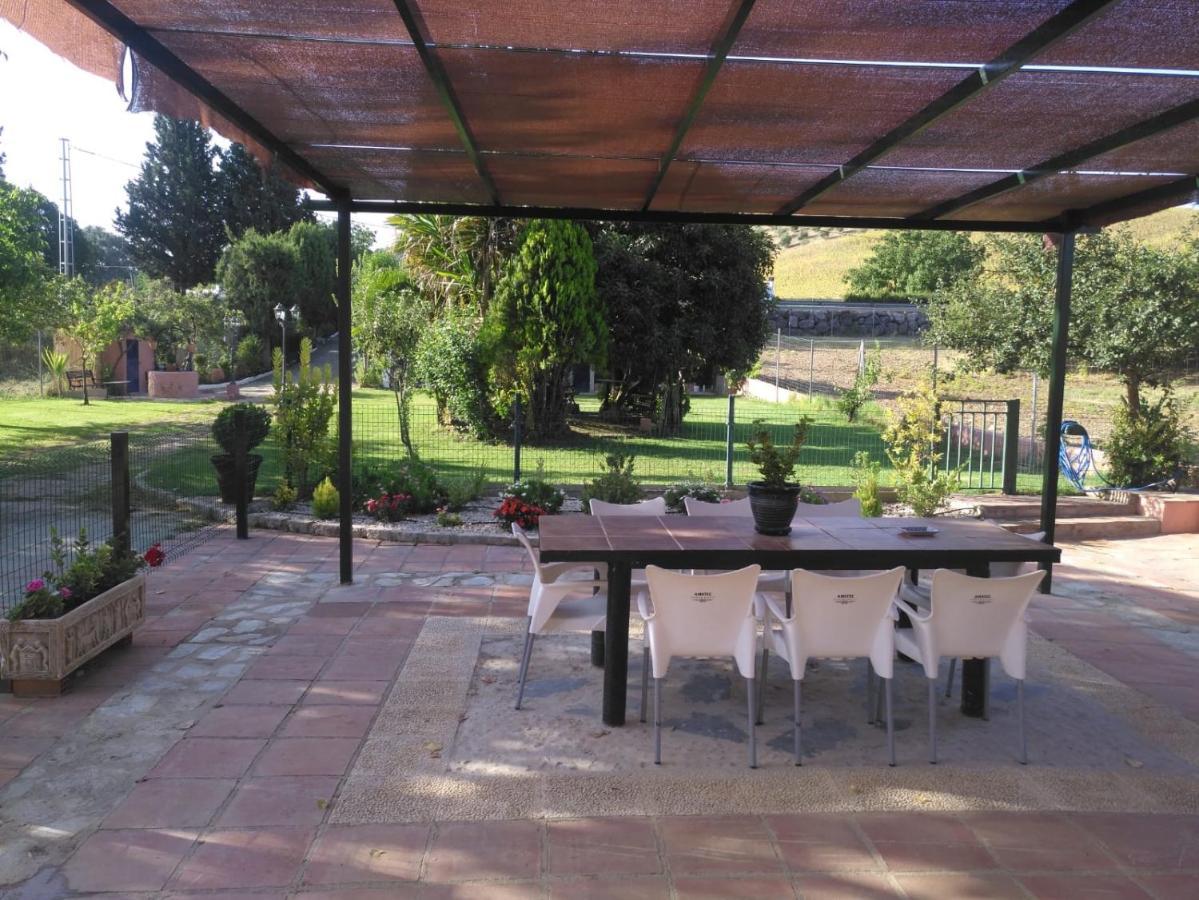 Palmeras Ronda