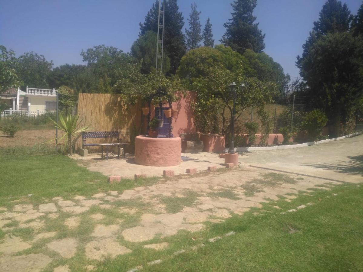 Palmeras Ronda