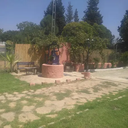 Casa Rural Las Palmeras Ronda Buitenkant foto