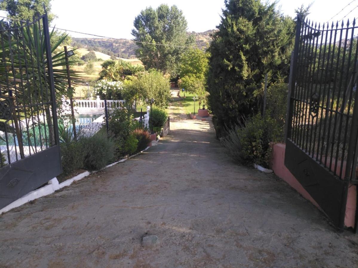 Palmeras