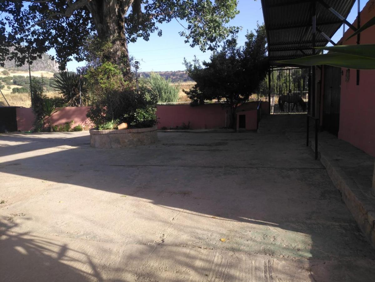 Palmeras Holiday home Ronda