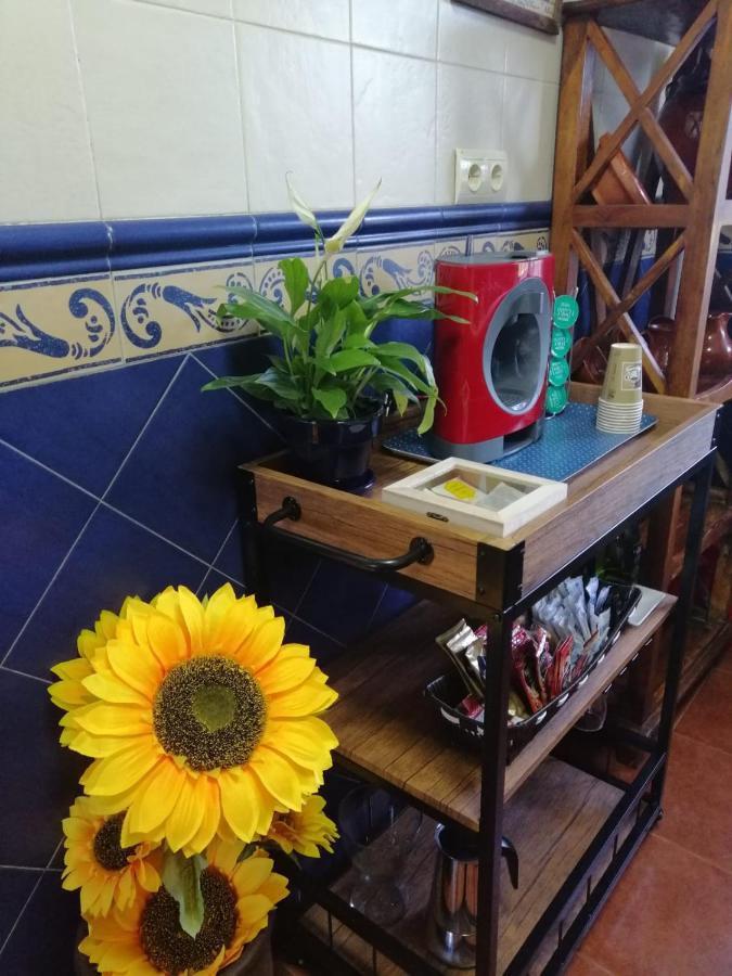 Palmeras Casa de Férias *